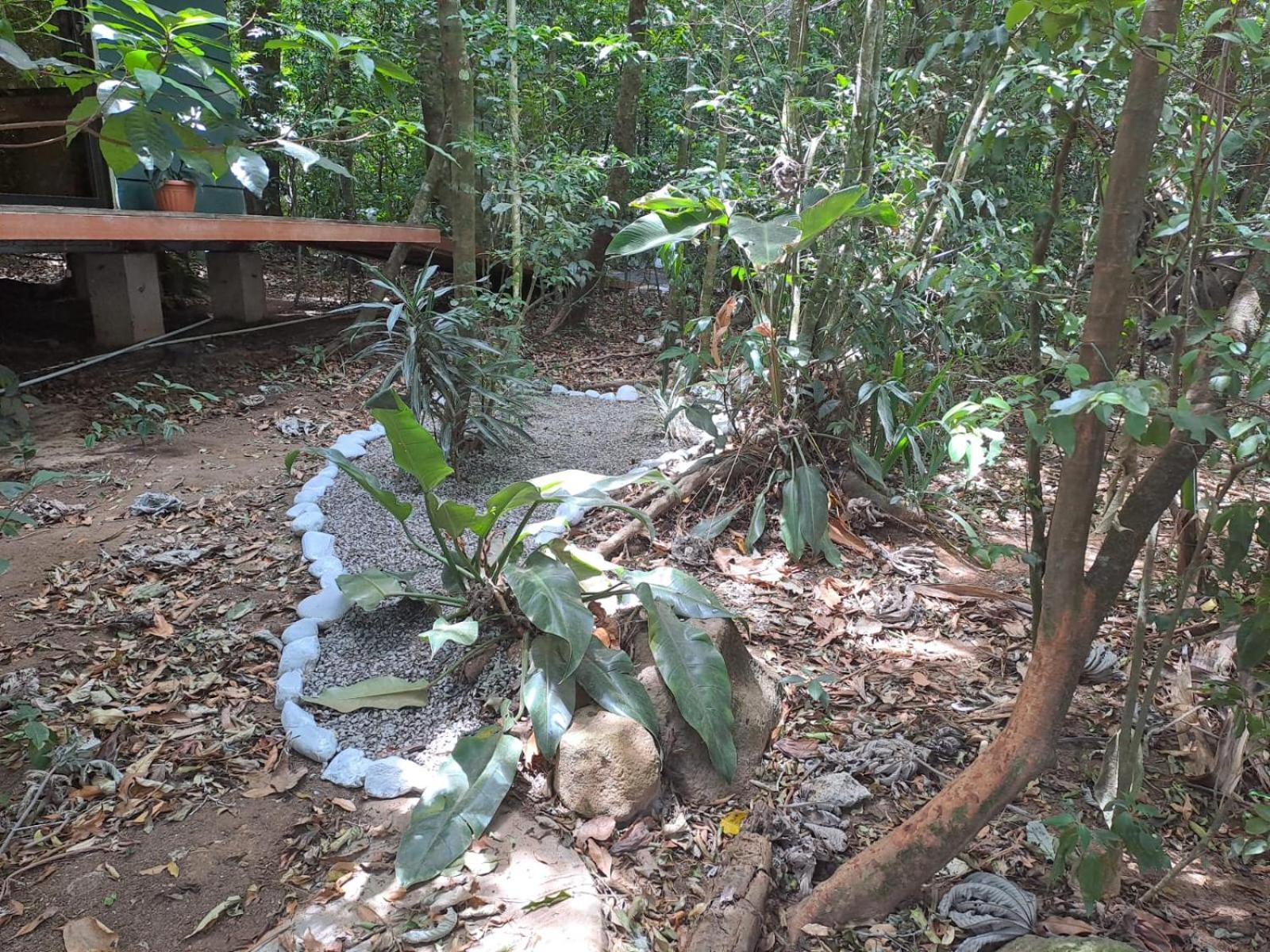 Quality Cabins Monteverde Luaran gambar