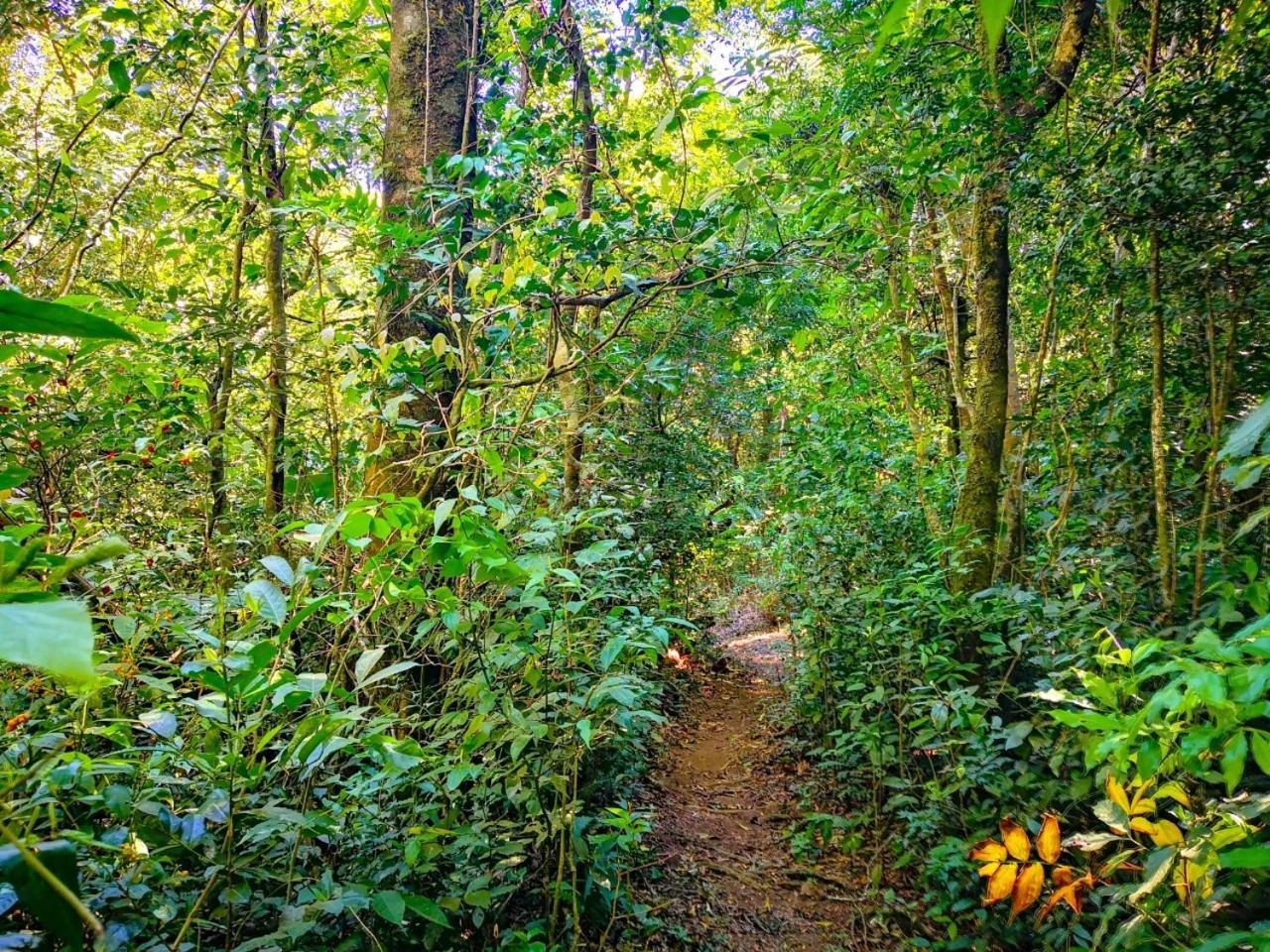 Quality Cabins Monteverde Luaran gambar